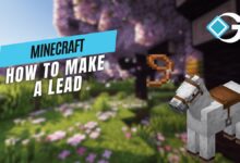 leads minecraft