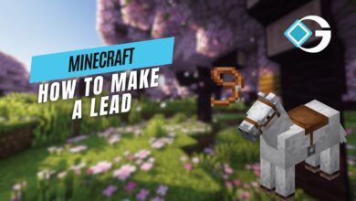 leads minecraft